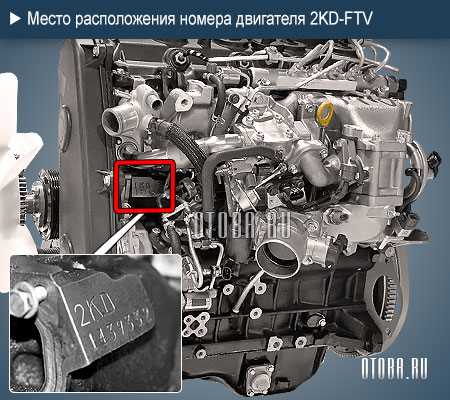 Основная