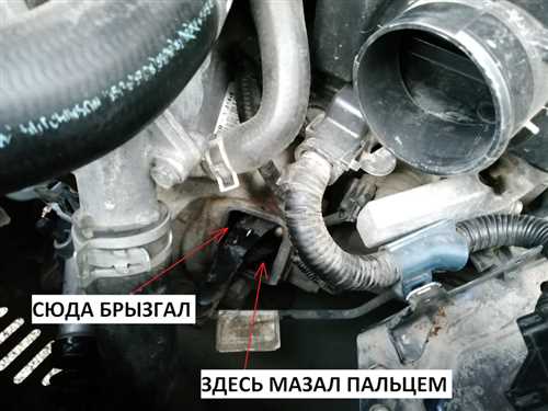 Смазка
