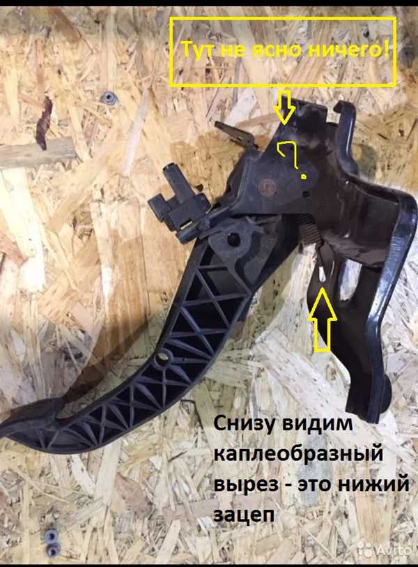 Устанавливаем