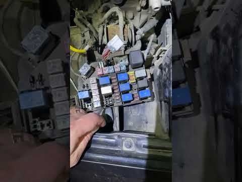 Основная