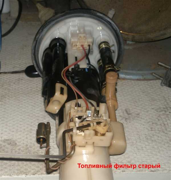 Сроки